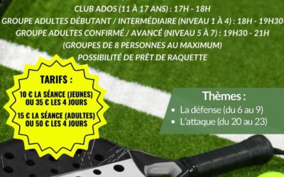 Stage de Padel